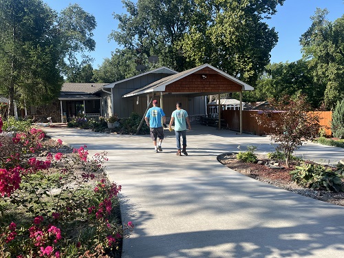 Driveway with landscaping around it that has flowers and trees.